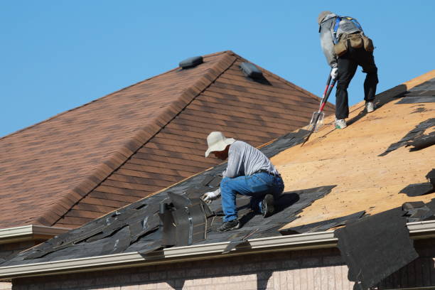 Best Roof Ventilation Installation  in Somerville, TX