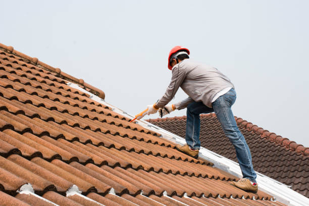 Best Storm Damage Roof Repair  in Somerville, TX